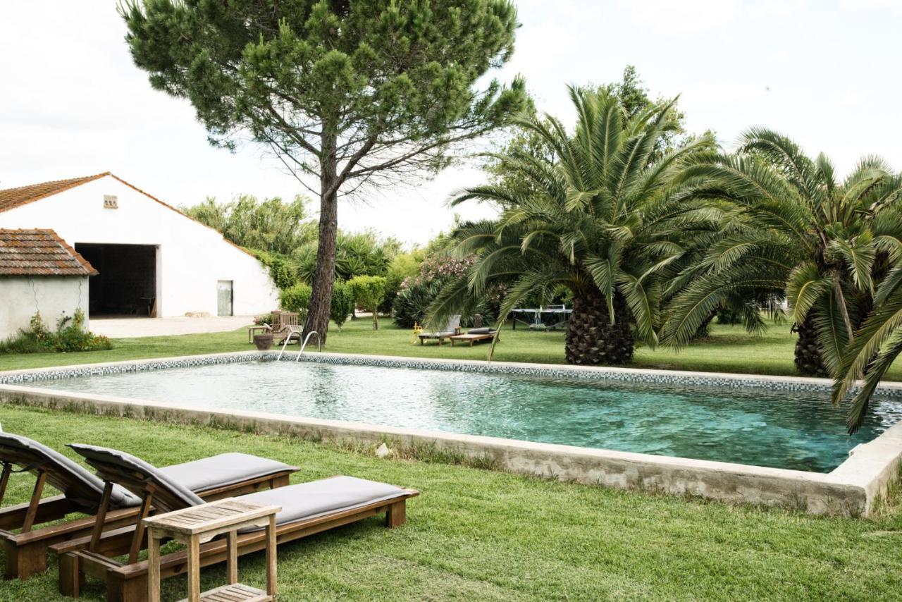 Mas De Bouvet En Camargue Bed and Breakfast Albaron Εξωτερικό φωτογραφία