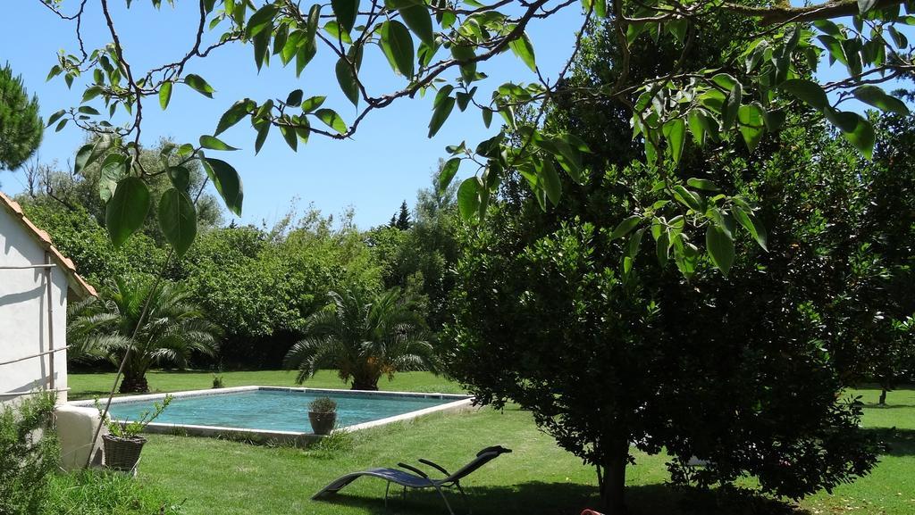 Mas De Bouvet En Camargue Bed and Breakfast Albaron Εξωτερικό φωτογραφία