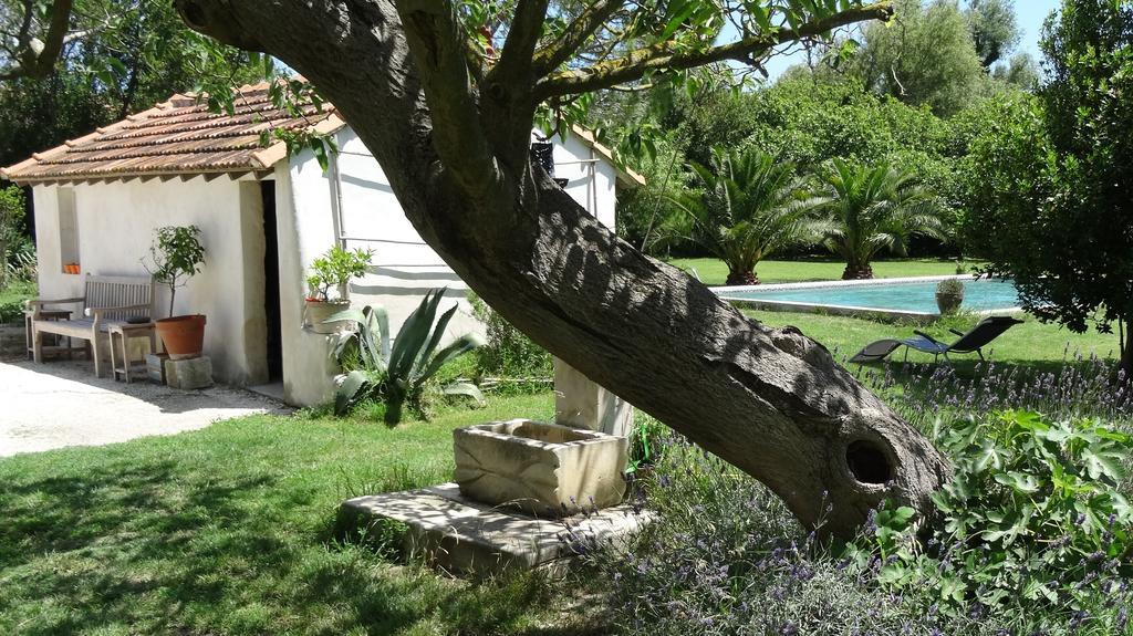 Mas De Bouvet En Camargue Bed and Breakfast Albaron Εξωτερικό φωτογραφία