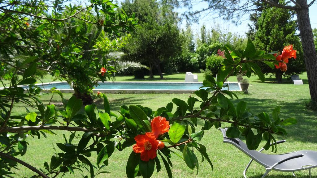 Mas De Bouvet En Camargue Bed and Breakfast Albaron Εξωτερικό φωτογραφία