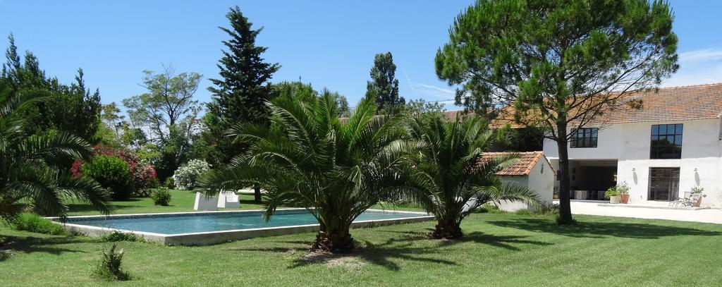Mas De Bouvet En Camargue Bed and Breakfast Albaron Εξωτερικό φωτογραφία