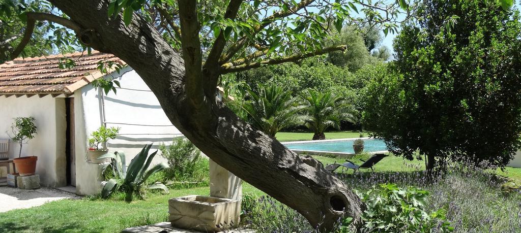Mas De Bouvet En Camargue Bed and Breakfast Albaron Εξωτερικό φωτογραφία
