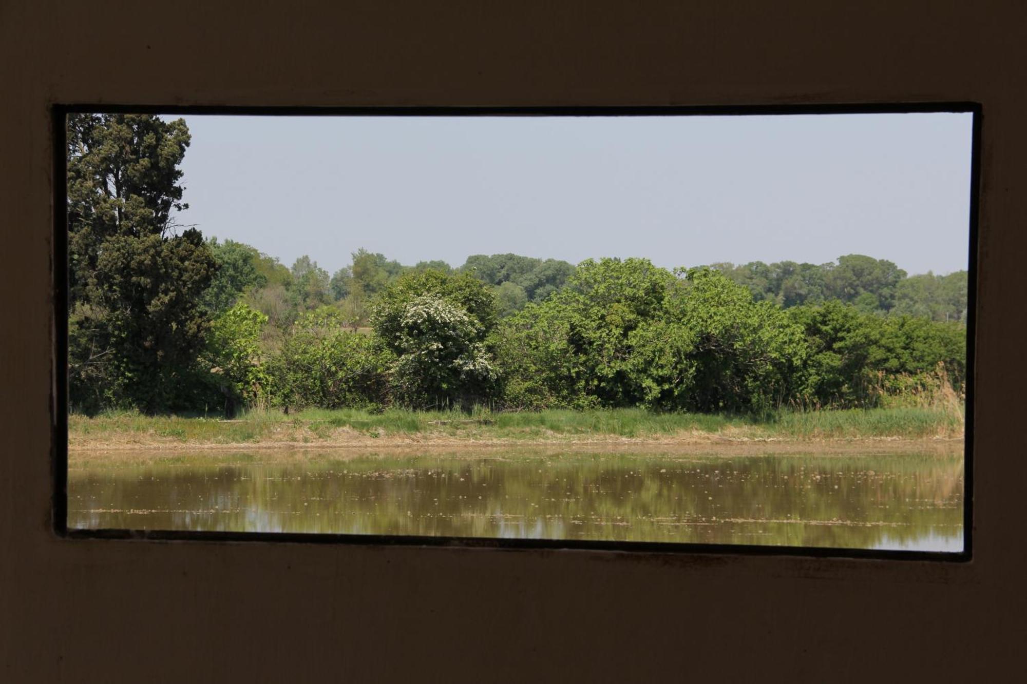 Mas De Bouvet En Camargue Bed and Breakfast Albaron Εξωτερικό φωτογραφία