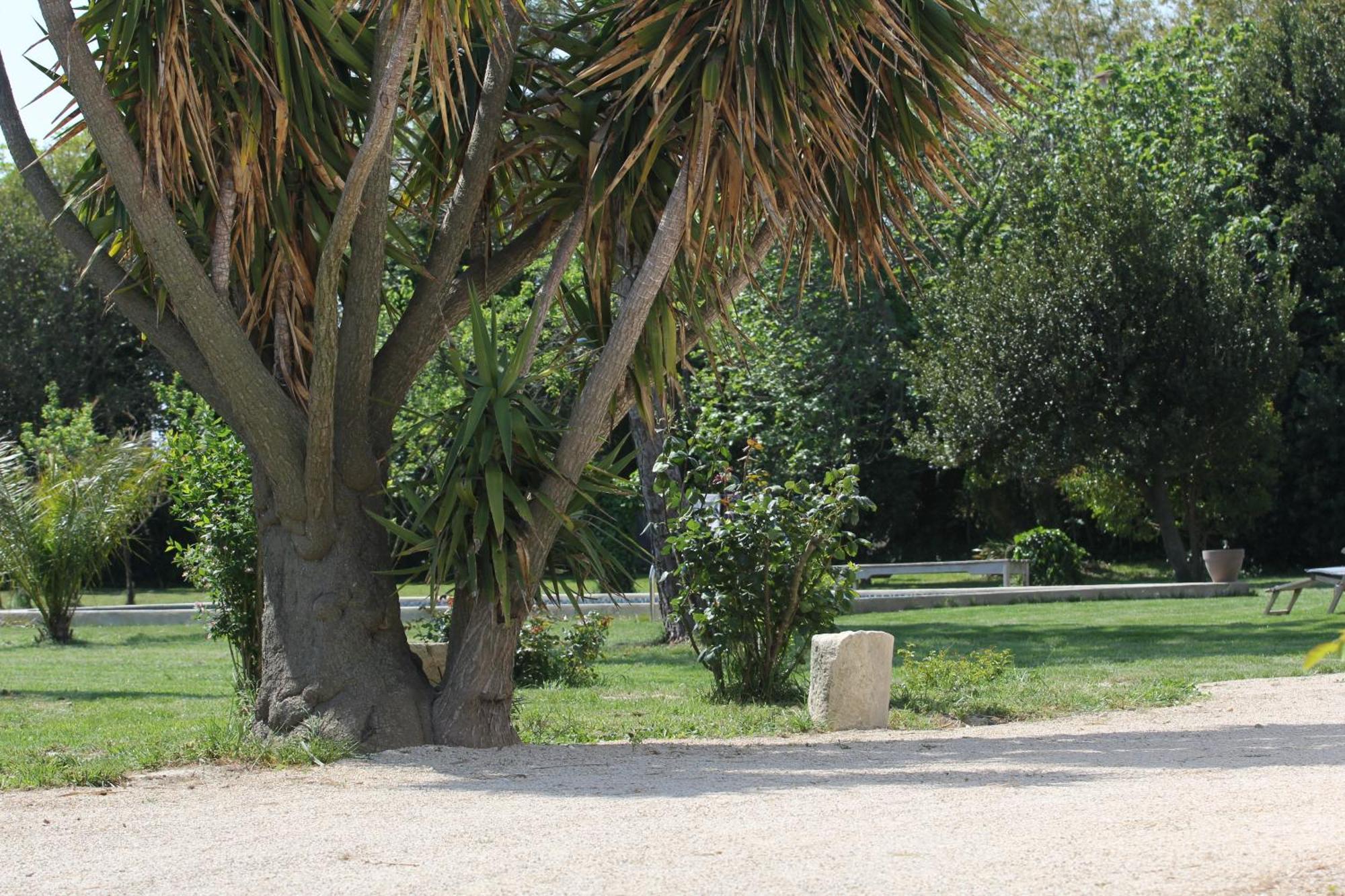 Mas De Bouvet En Camargue Bed and Breakfast Albaron Εξωτερικό φωτογραφία